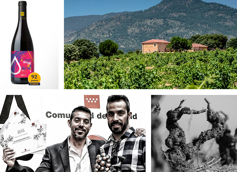 Auna bodegas